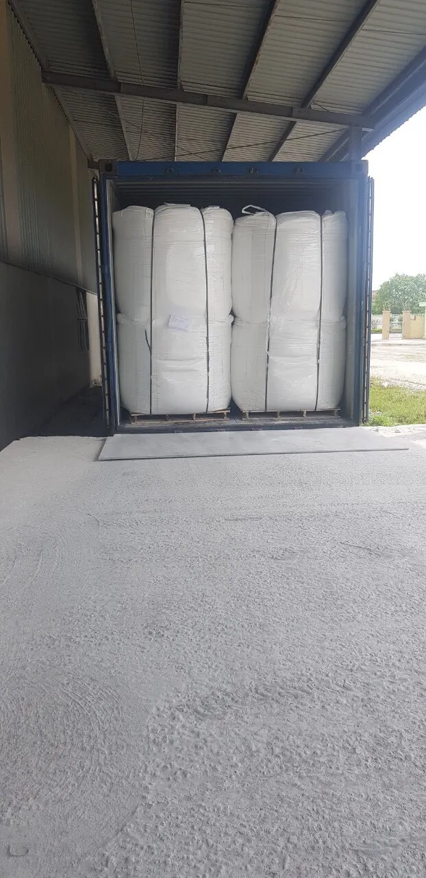 越南碳酸钙粉包装装柜现场 - container-packing